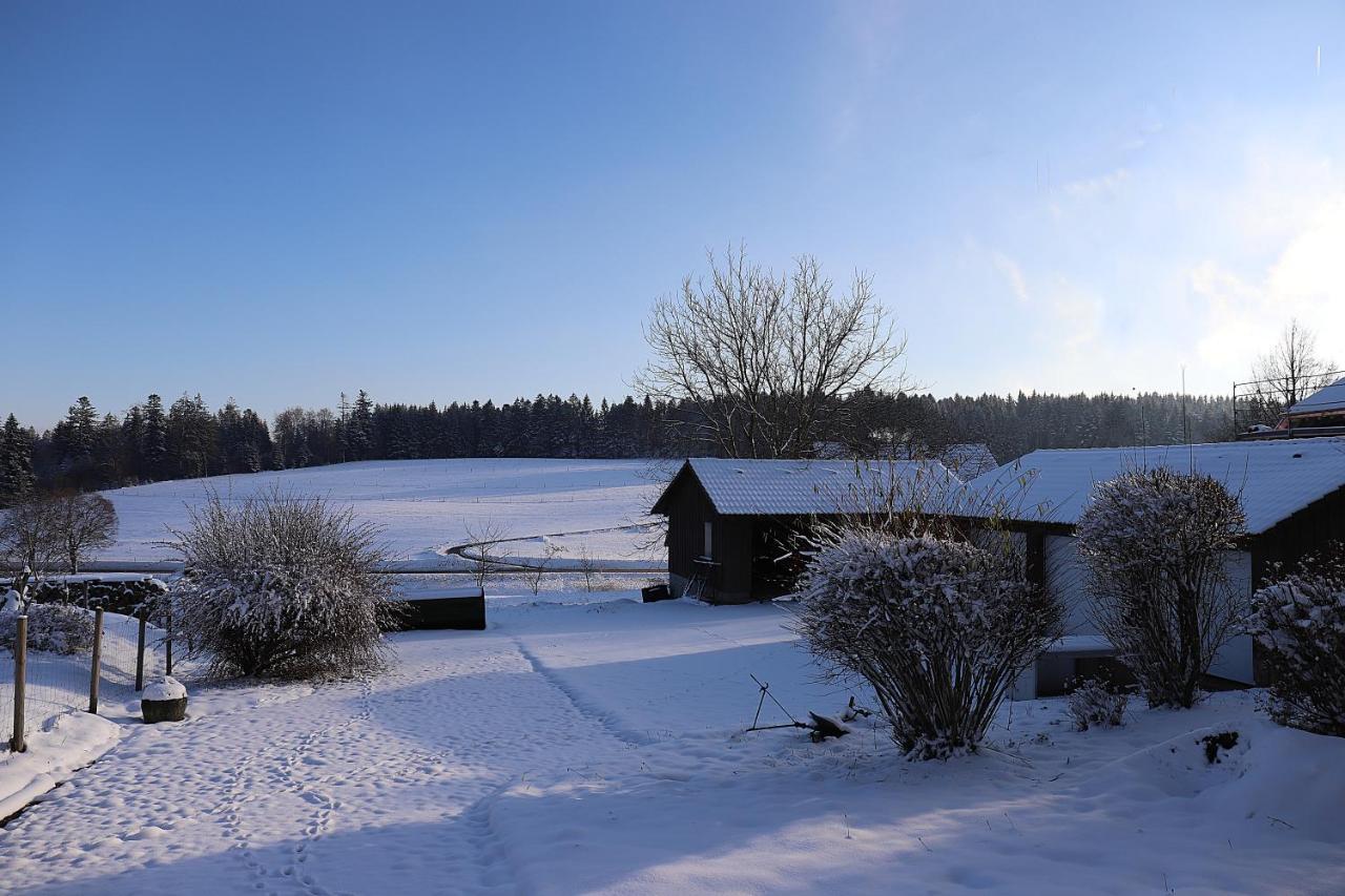 Gästehaus Willaringen Rickenbach  Exteriör bild