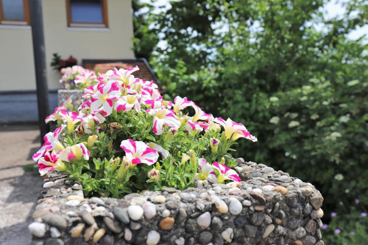 Gästehaus Willaringen Rickenbach  Exteriör bild