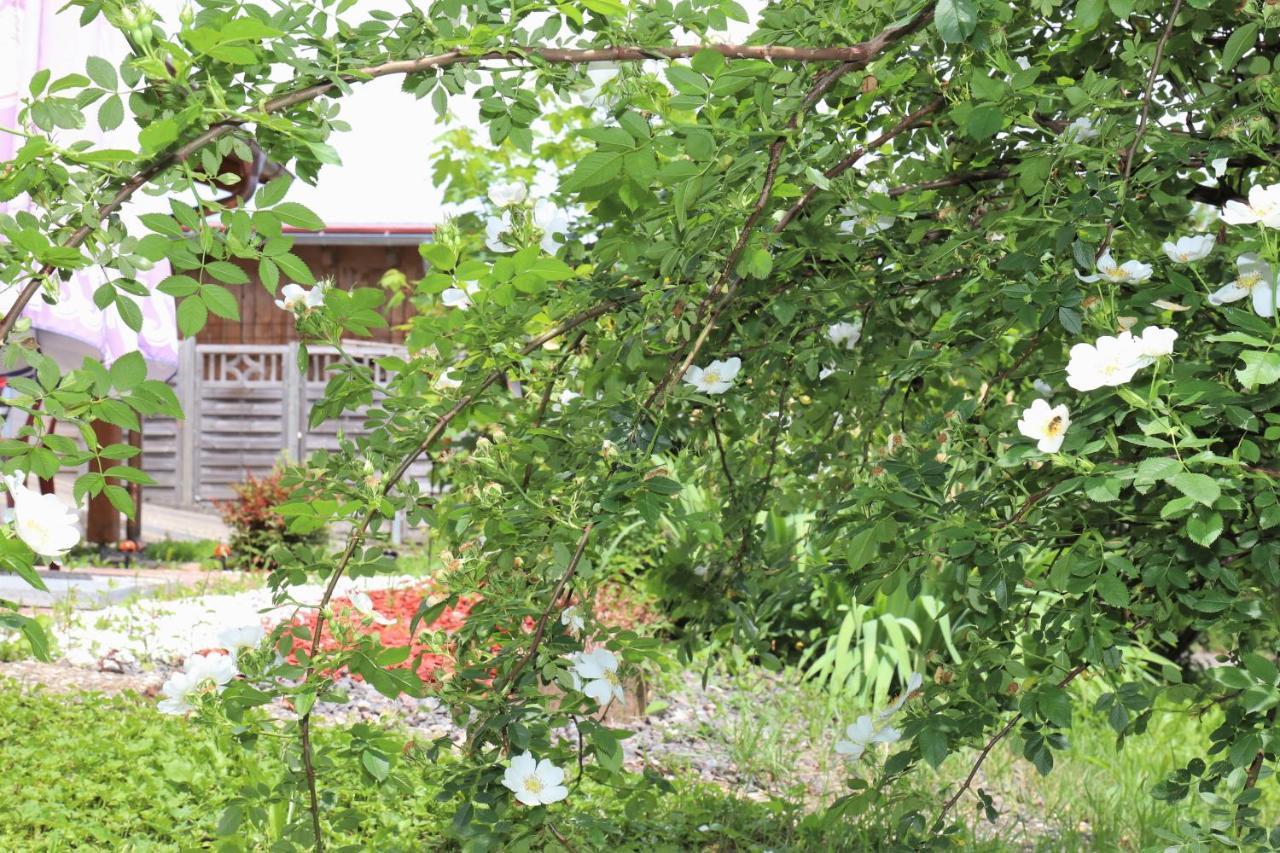 Gästehaus Willaringen Rickenbach  Exteriör bild