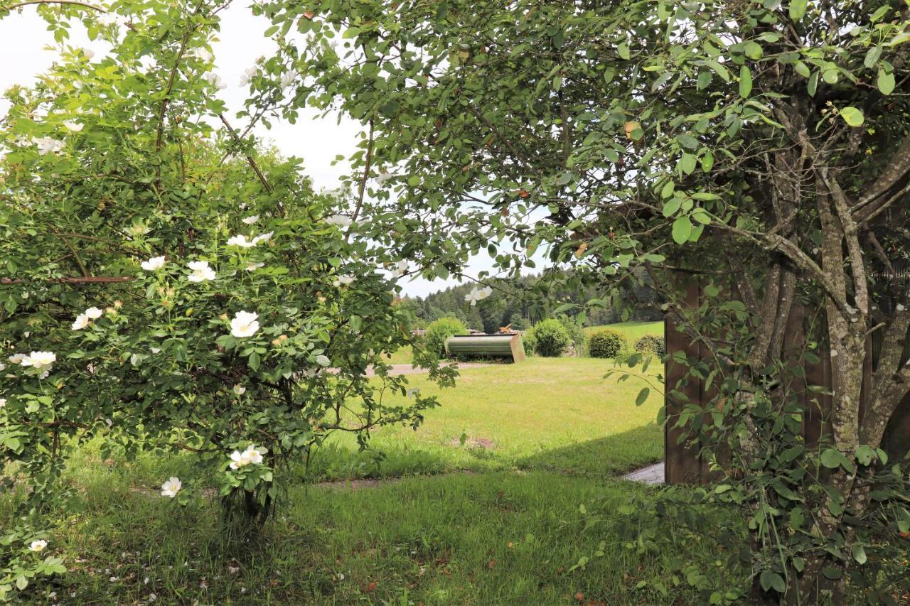 Gästehaus Willaringen Rickenbach  Exteriör bild